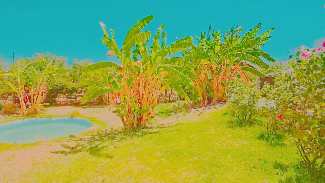 Photo of Outdoor in Lithakia