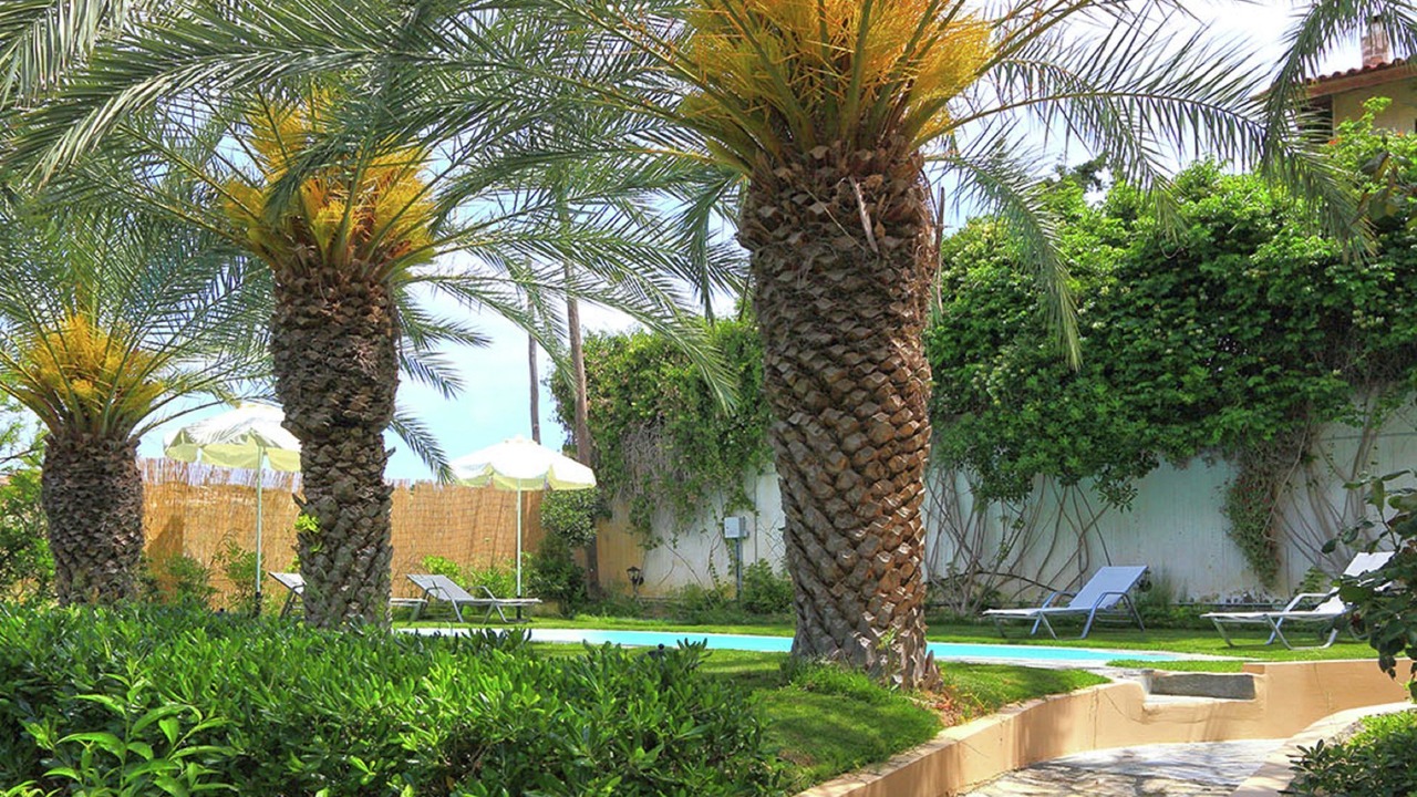 Photo of Outdoor in Karteros