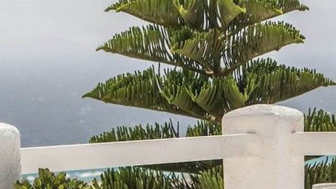Photo of Others in Agios Prokopios