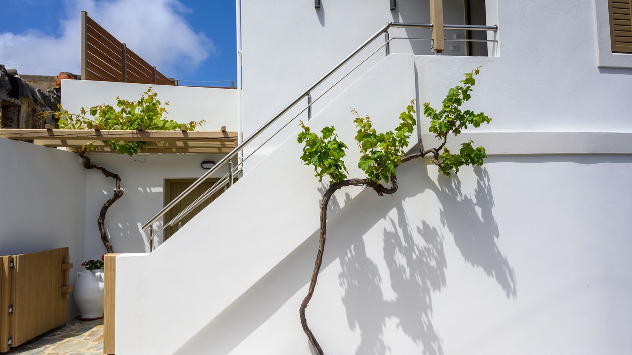 Photo of Outdoor in Mirsini