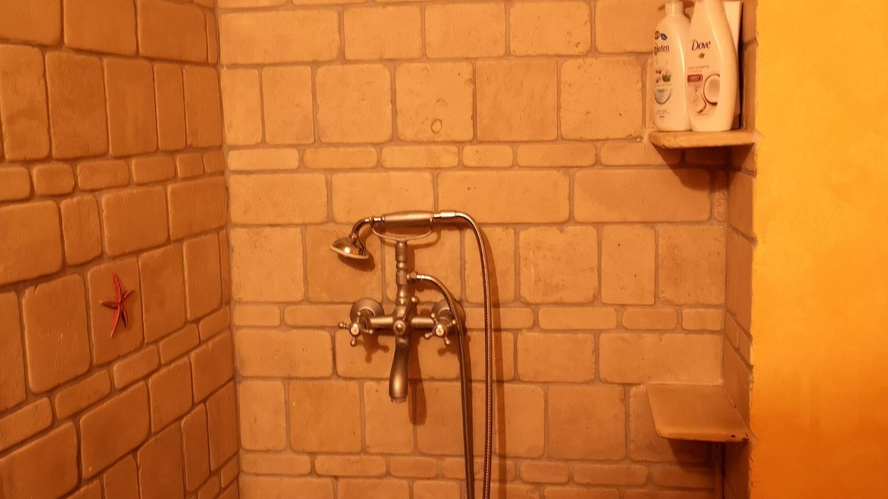 Photo of Bathroom in Astypalaia
