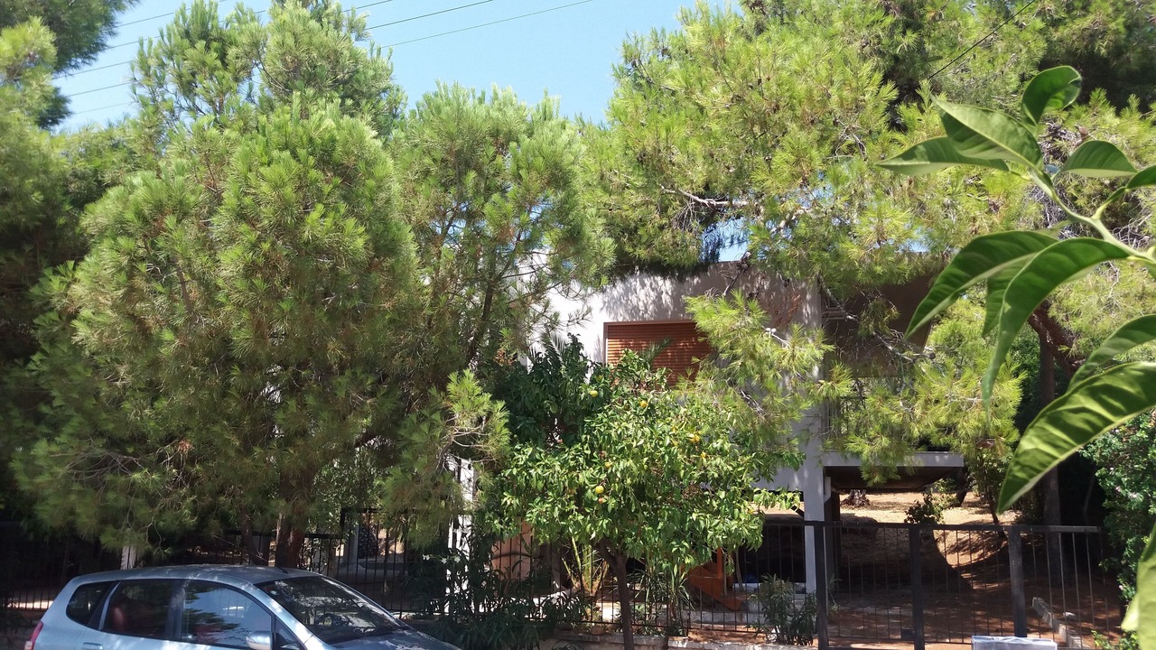 Photo of Outdoor in Saronida