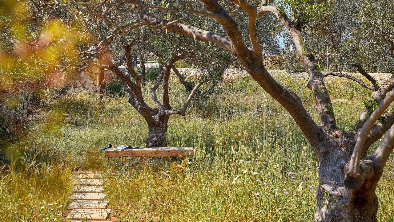 Photo of Others in Kounoupidiana