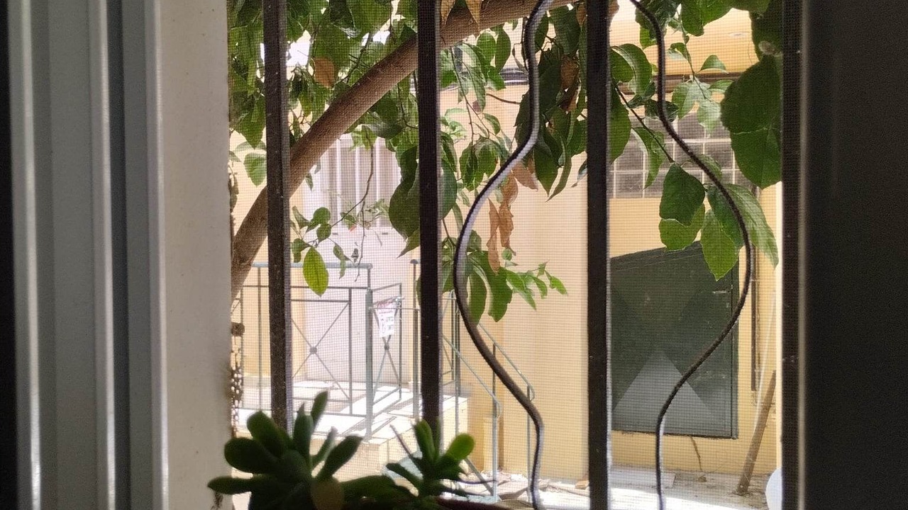 Photo of Others in Kalamata