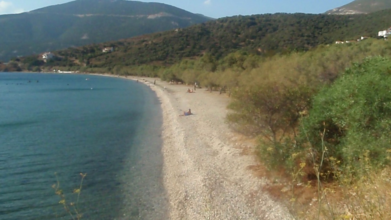 Photo of Others in Marmari