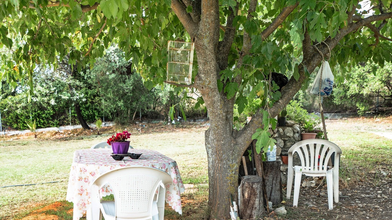 Photo of Outdoor in Eleios-Pronnoi