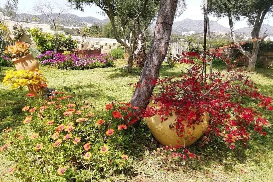 Photo of Outdoor in Agios Nikolaos Town