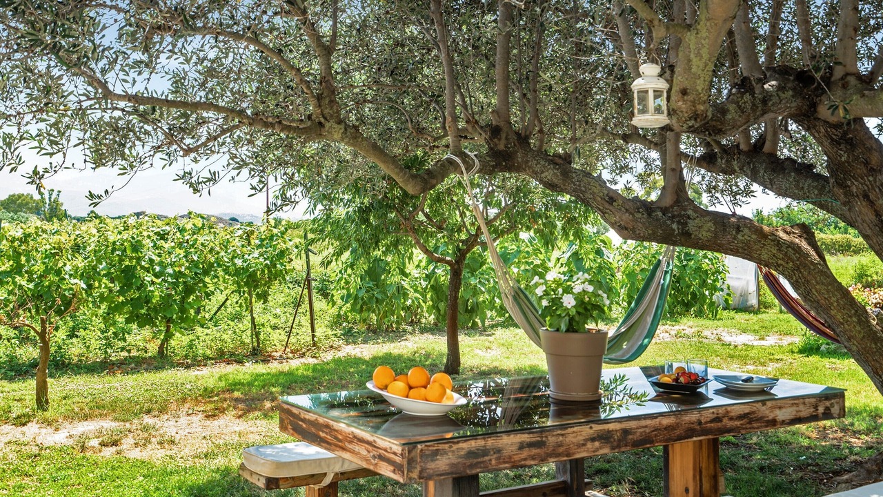 Photo of Outdoor in Paliki