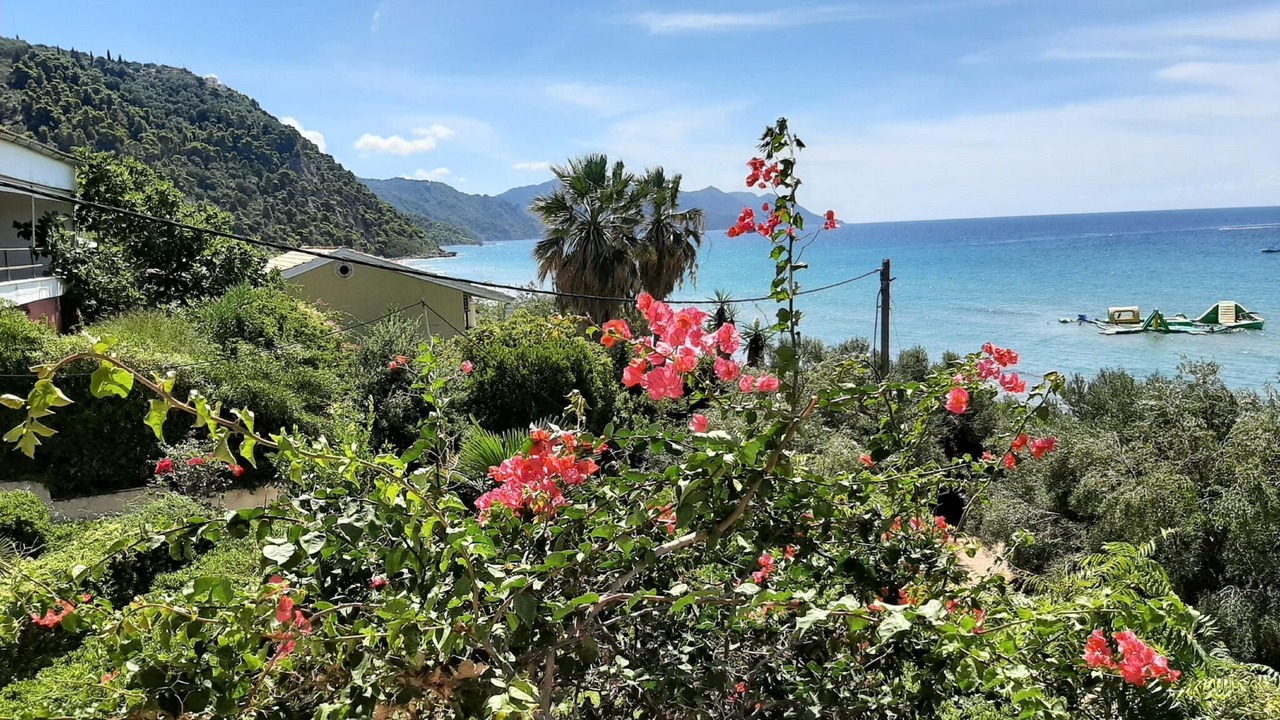 Photo of Others in Dafnata