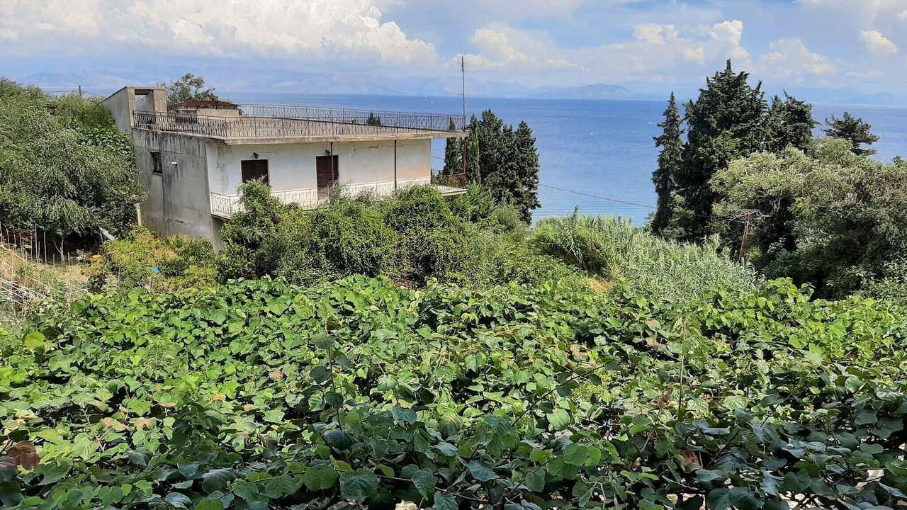 Photo of Others in Dafnata
