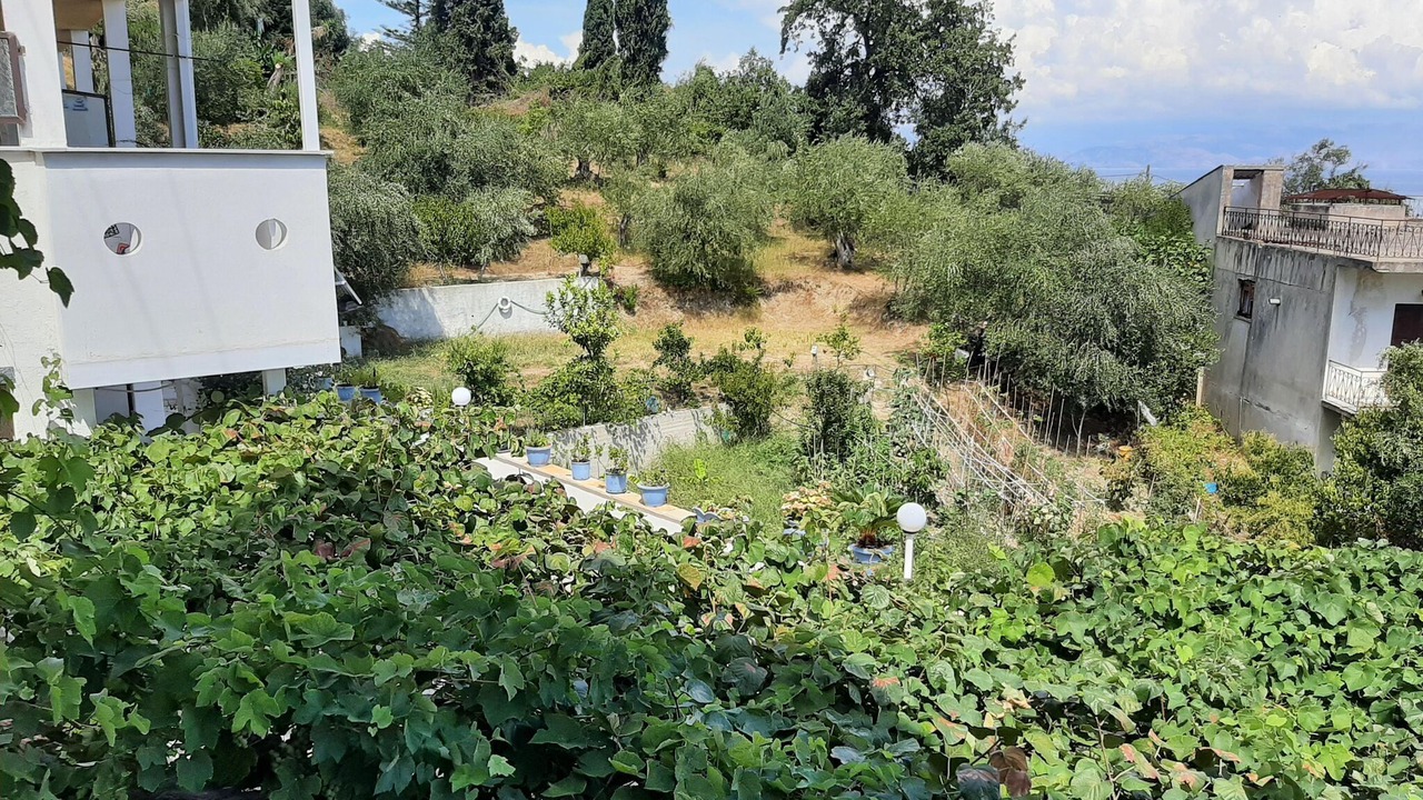 Photo of Others in Dafnata
