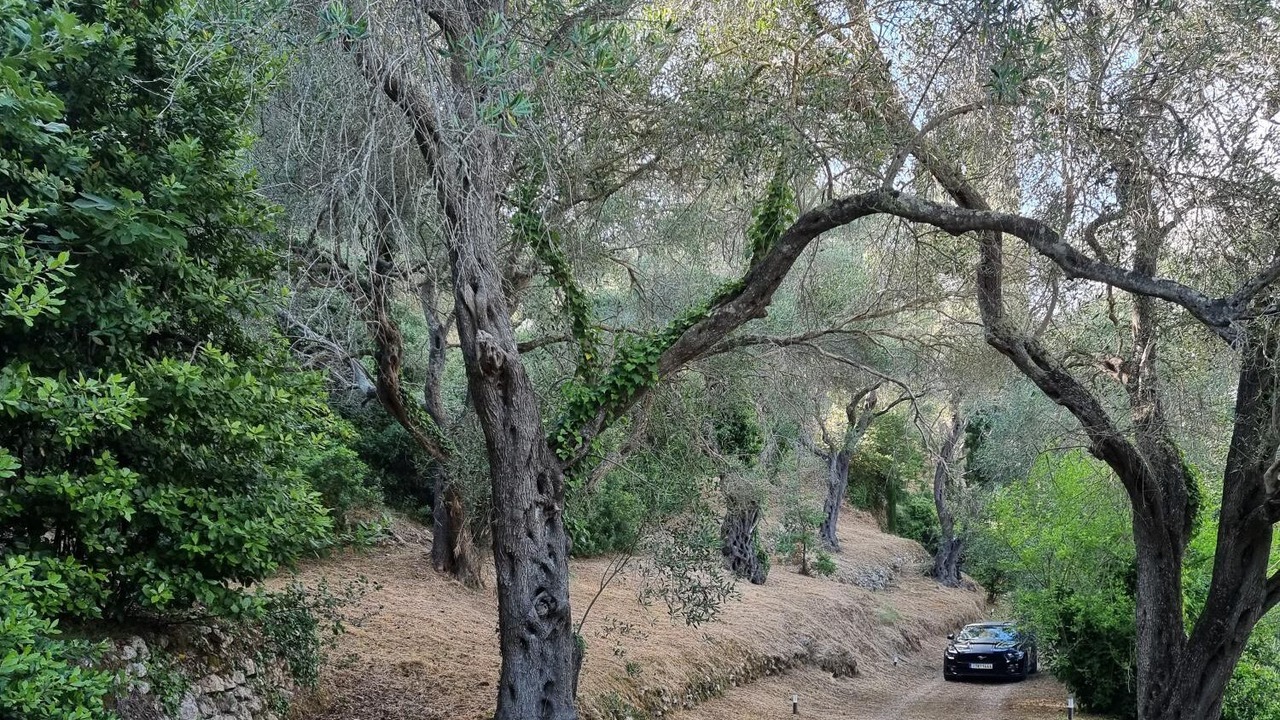 Photo of Outdoor in Sinarades