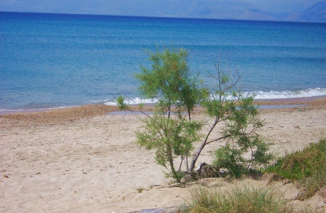 Photo of Others in Almiros Beach