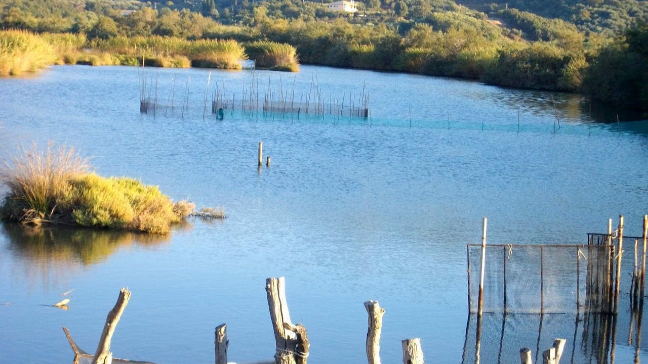 Photo of Outdoor in Almiros Beach