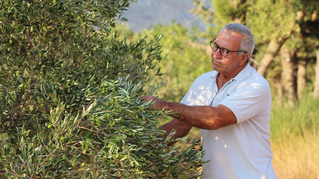 Photo of Others in Agia Galini