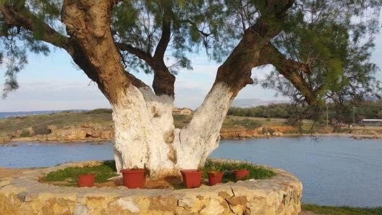 Photo of Outdoor in Agii Apostoli