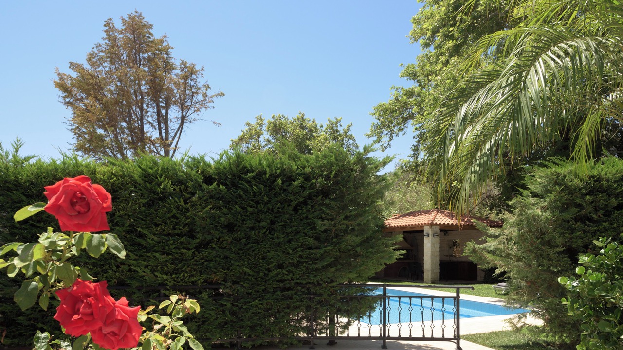 Photo of Outdoor in Pigianos Kampos