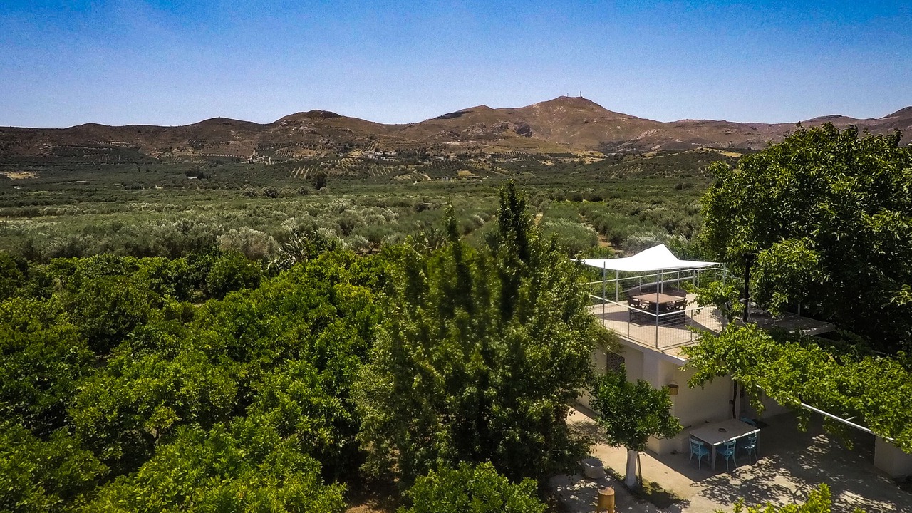 Photo of Outdoor in Mires