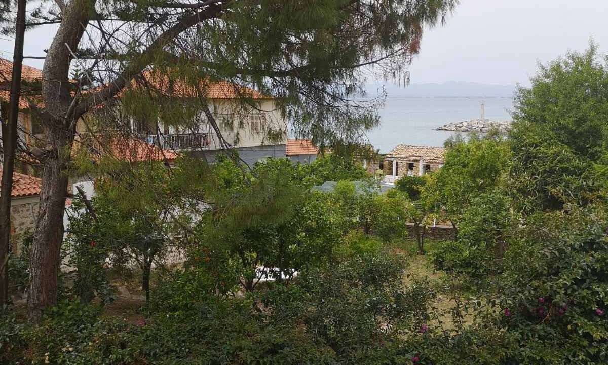 Photo of Outdoor in Akrogialion