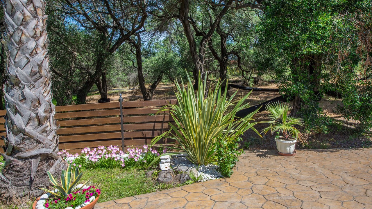 Photo of Outdoor in Arillas