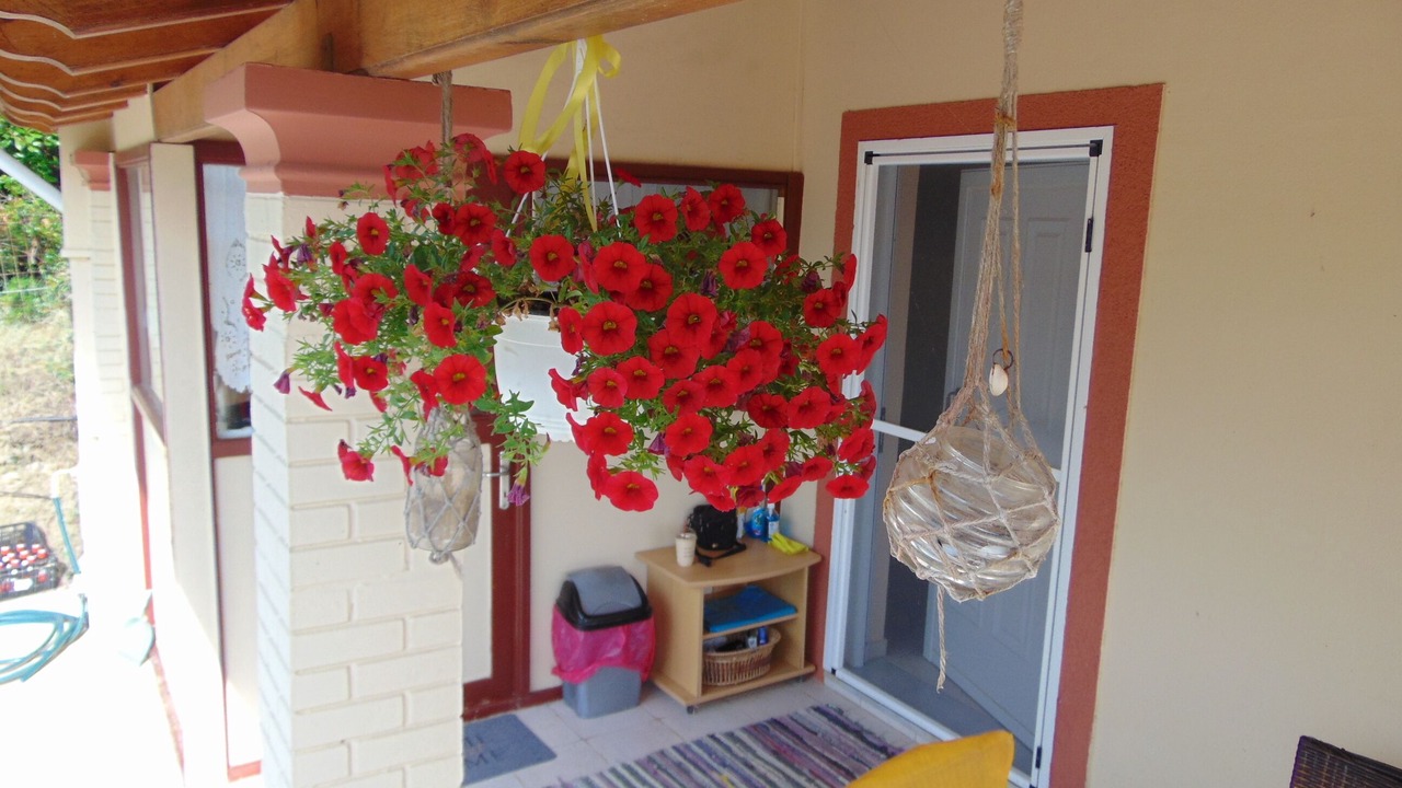 Photo of Patio Balcony in Marathias