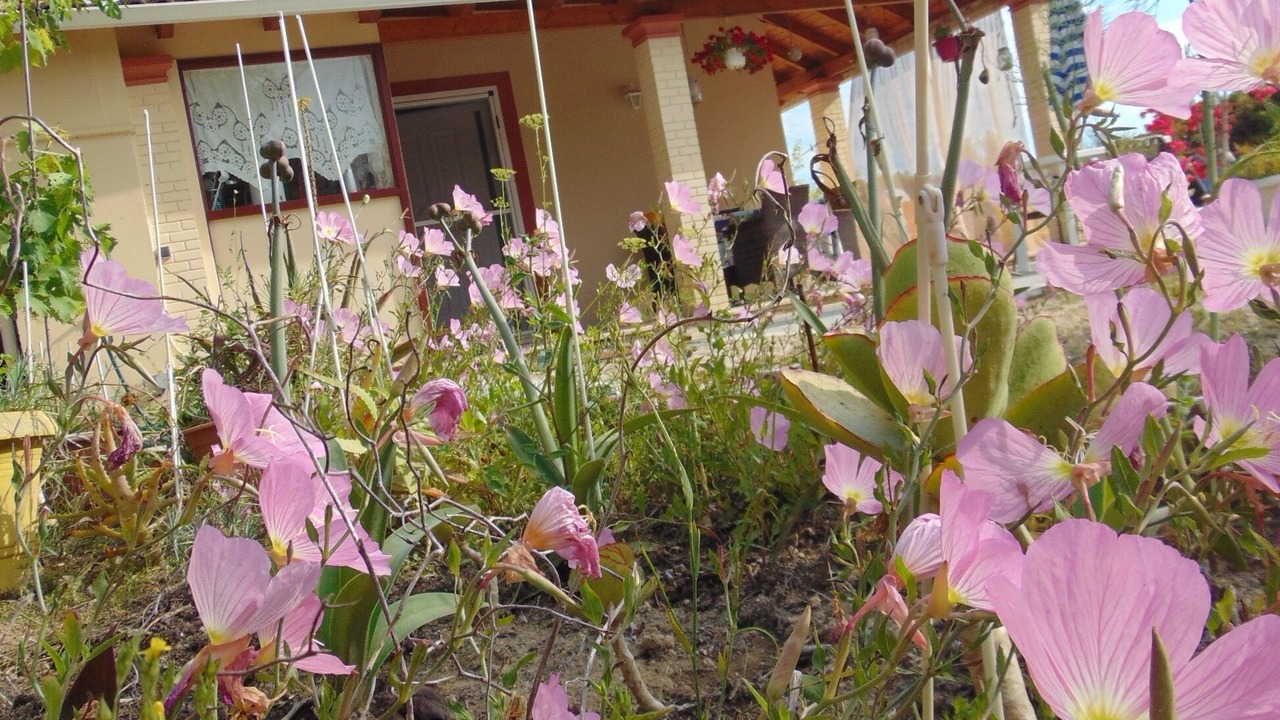 Photo of Outdoor in Marathias