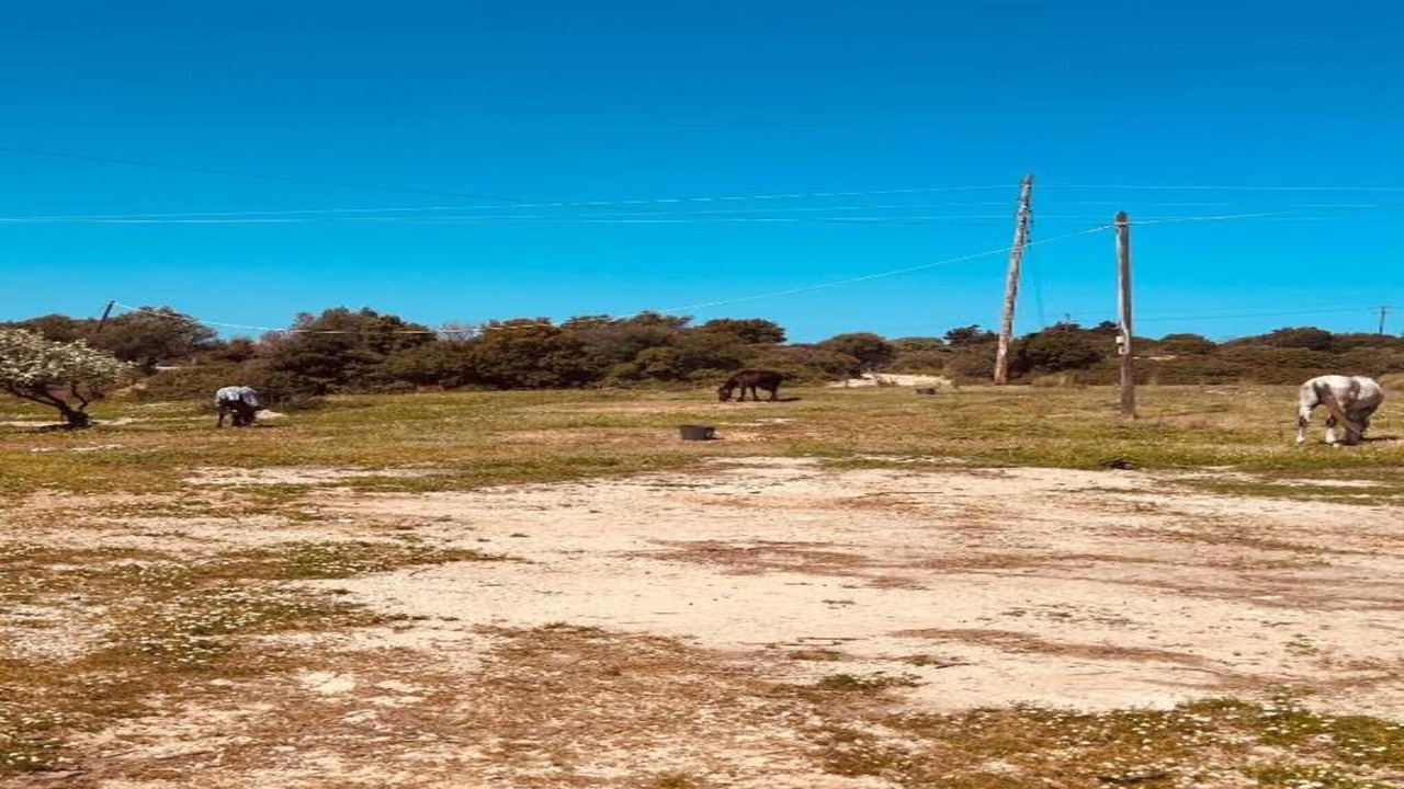 Photo of Others in Afandou