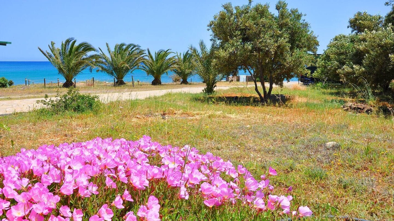 Photo of Outdoor in Palekastro