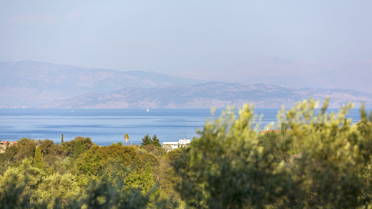 Photo of Others in Limni