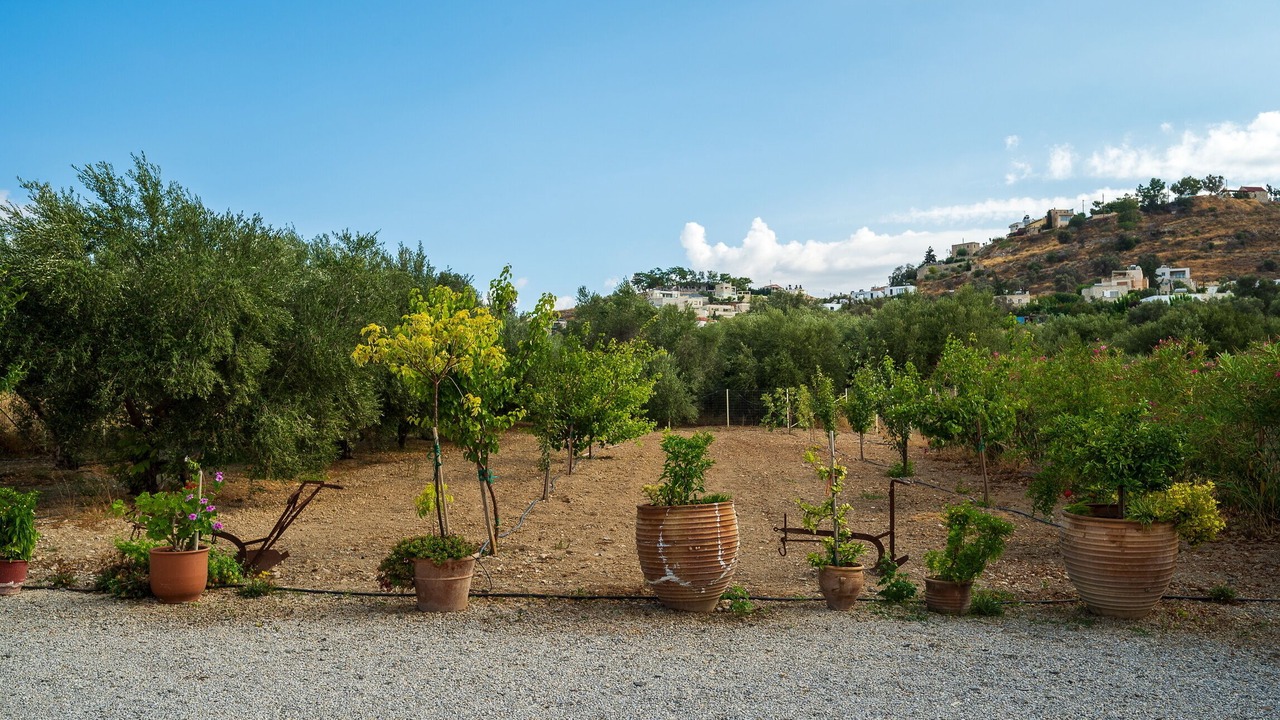 Photo of Outdoor in Faistos