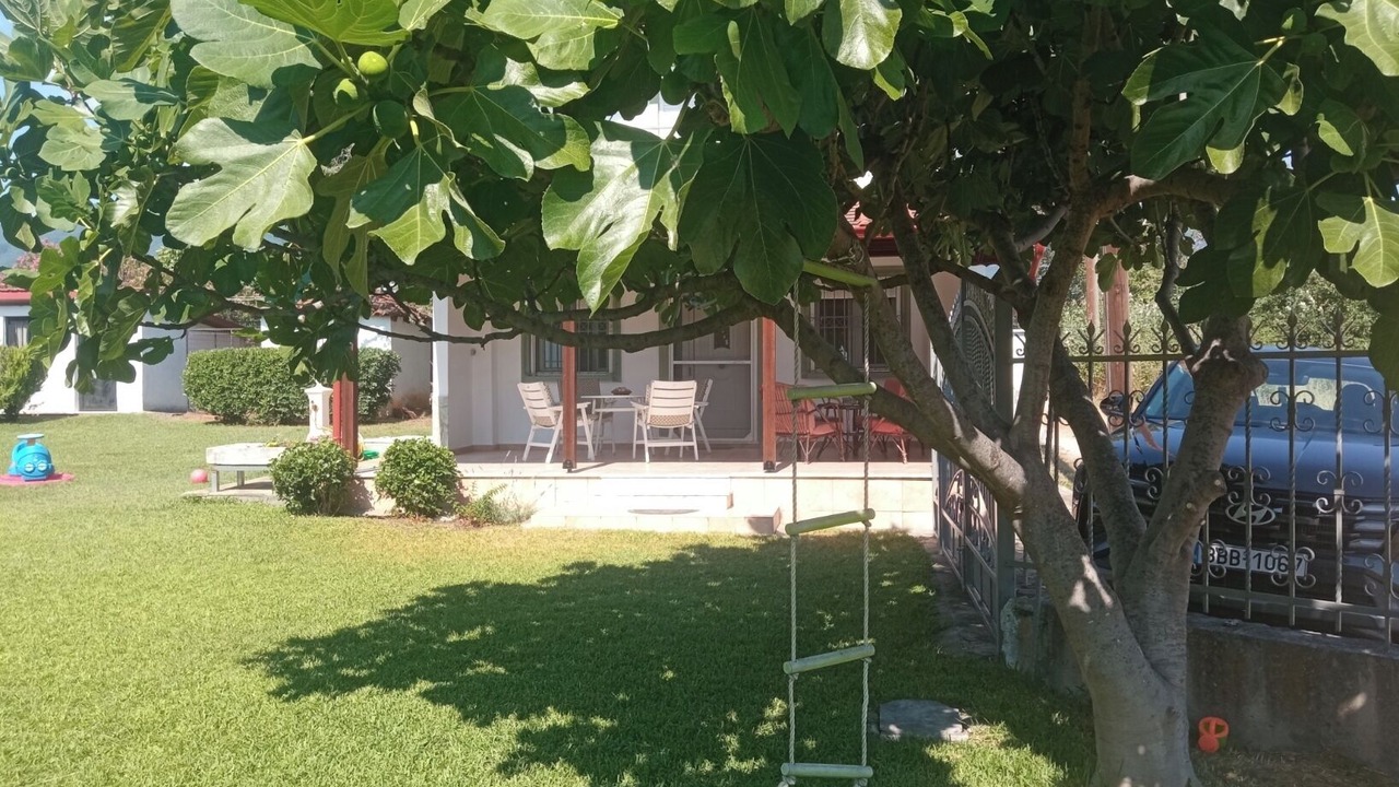 Photo of Outdoor in Leptokaria