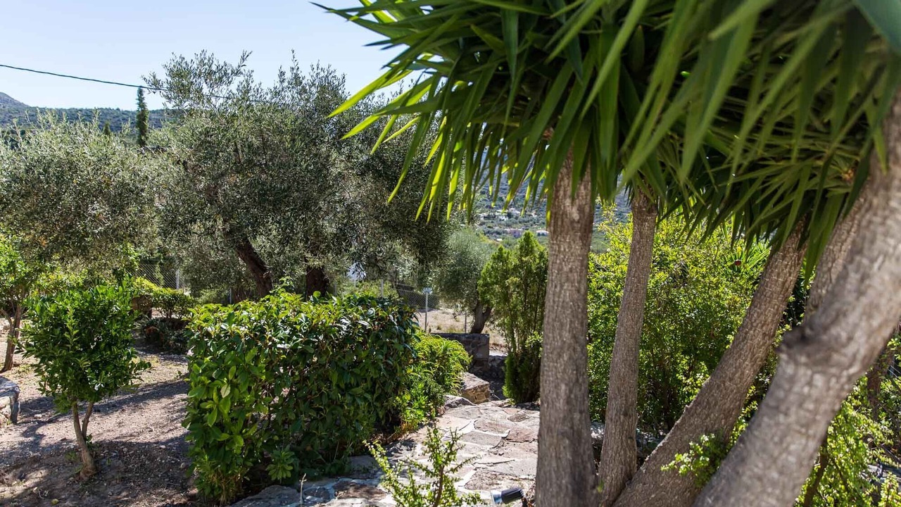 Photo of Outdoor in Kontos