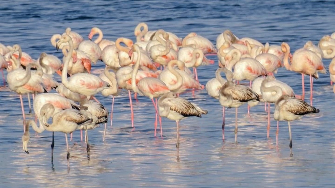 Photo of Others in Moraitika