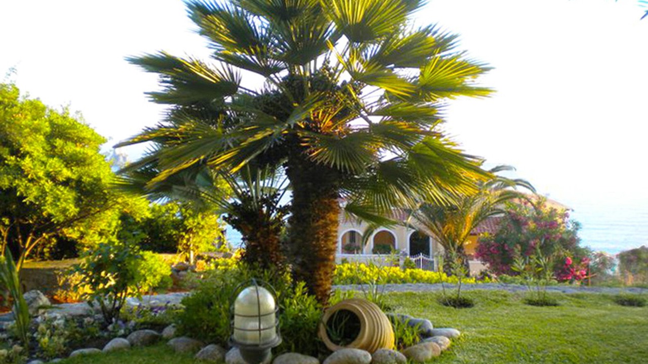 Photo of Outdoor in Agios Gordios