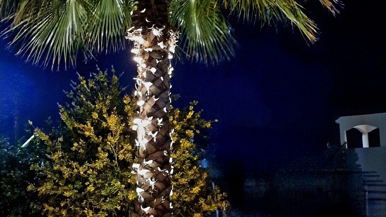 Photo of Outdoor in Livadi