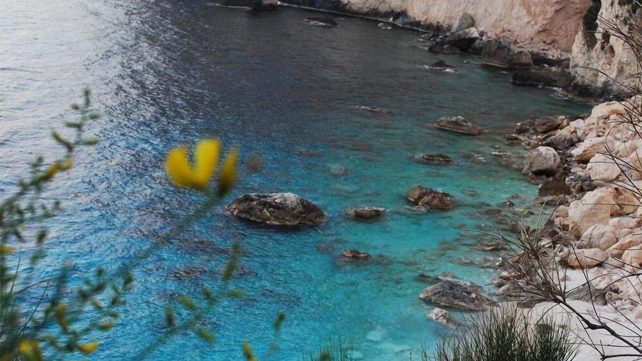 Photo of Others in Kourteika