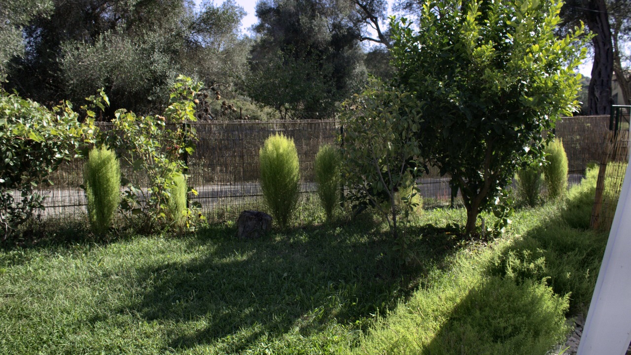 Photo of Outdoor in Marathias