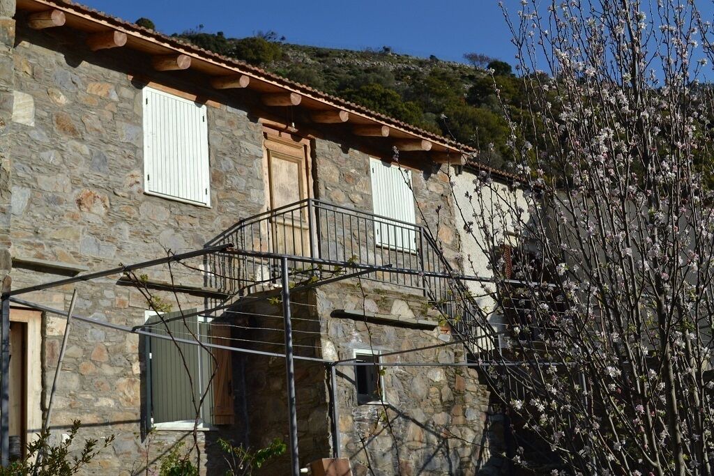 Photo of Outdoor in Perivolia