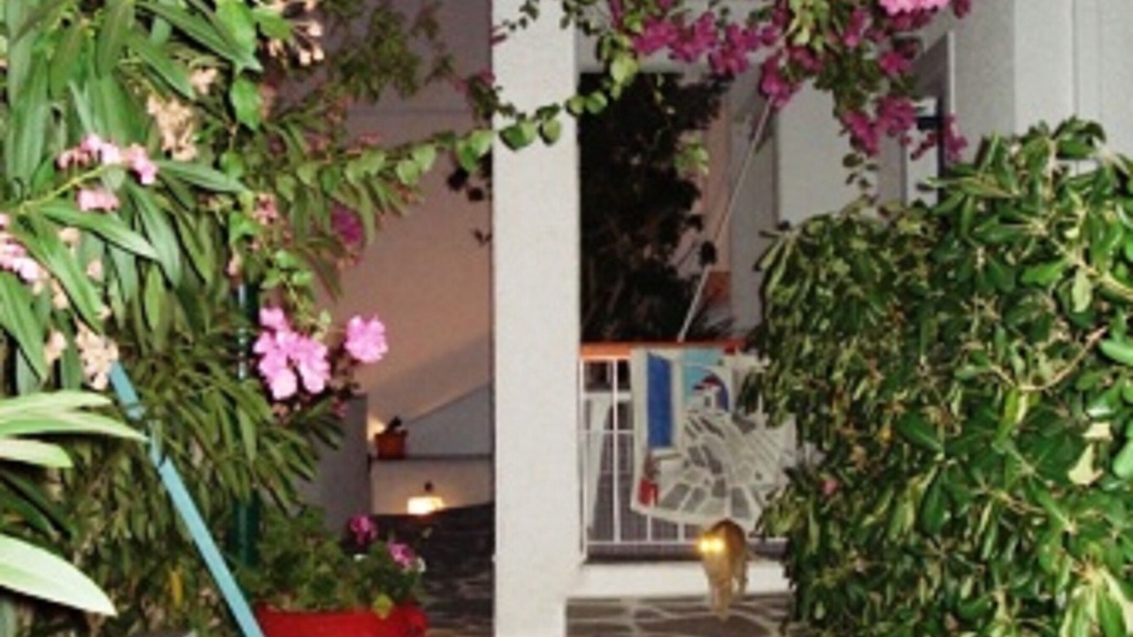 Photo of Outdoor in Massouri