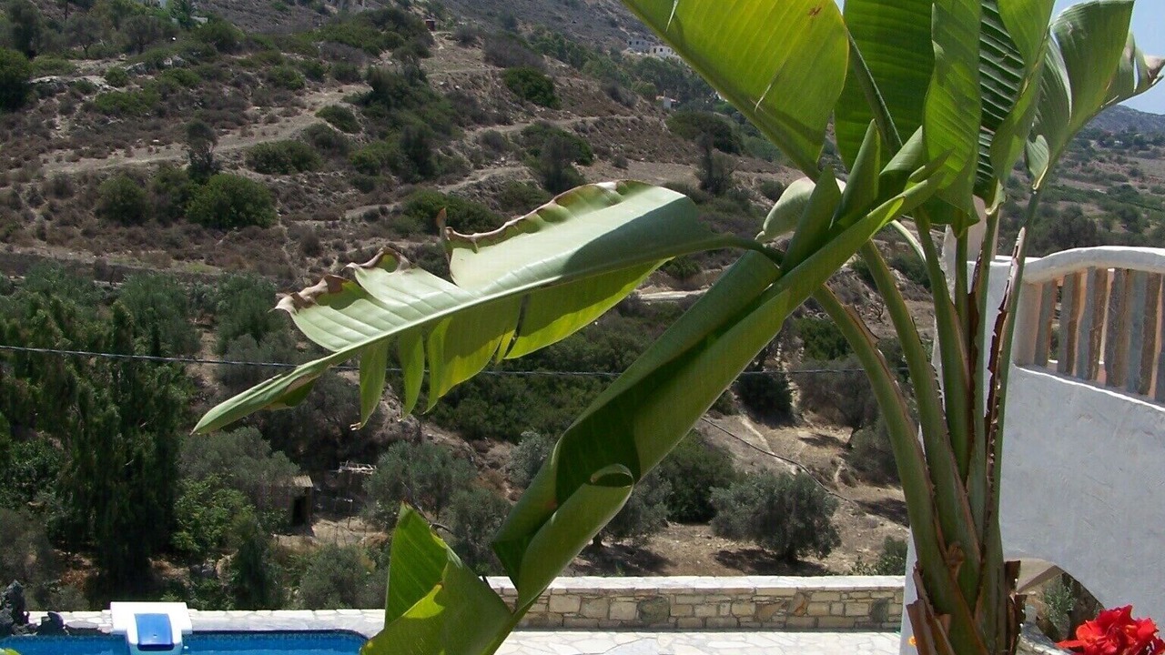 Photo of Outdoor in Pitsidia