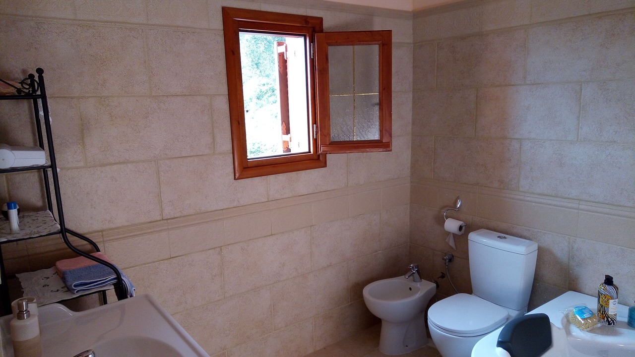 Photo of Bathroom in Dafnata