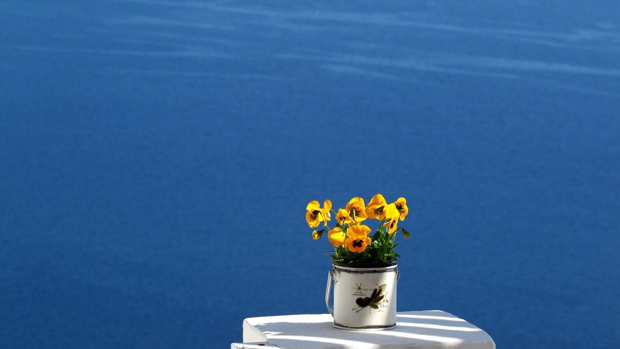 Photo of Others in Oia