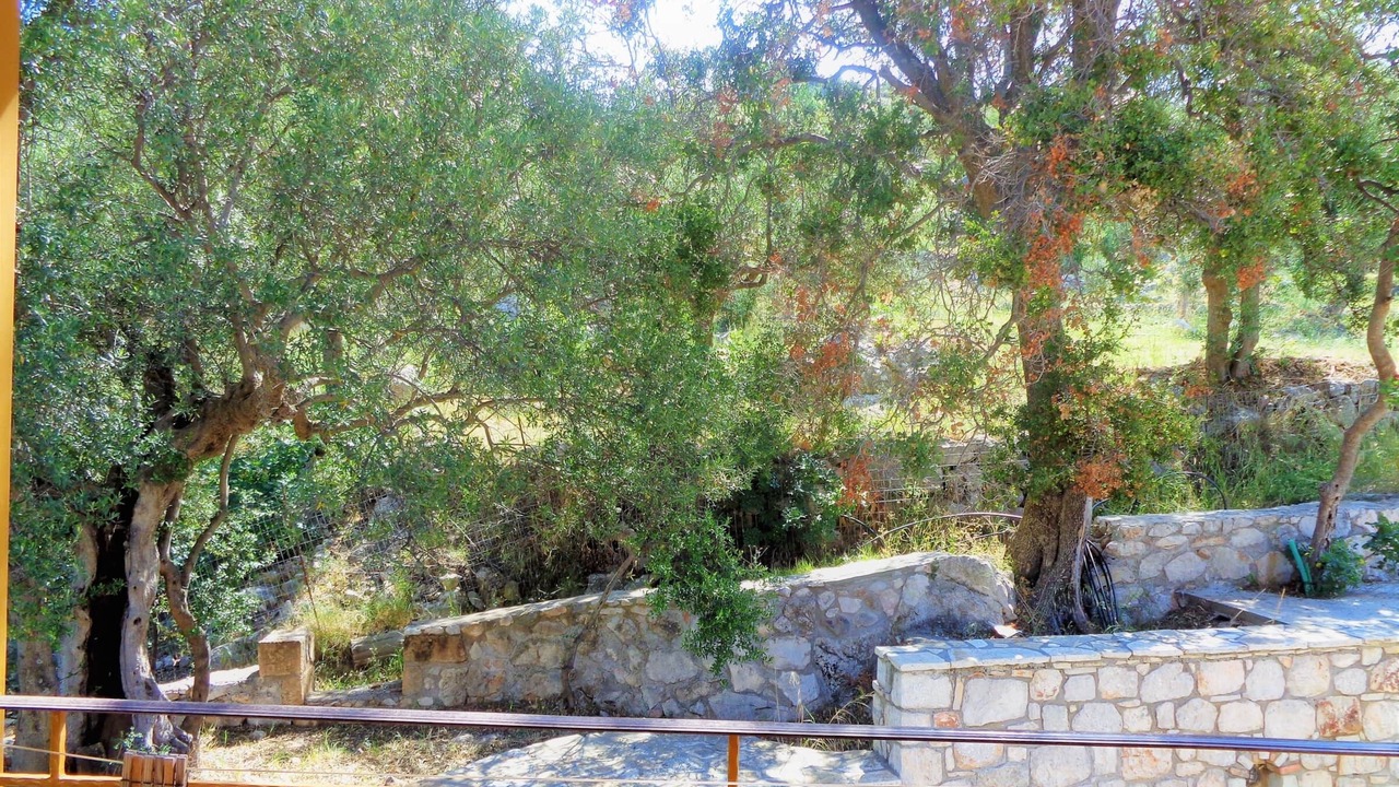 Photo of Outdoor in Diasella