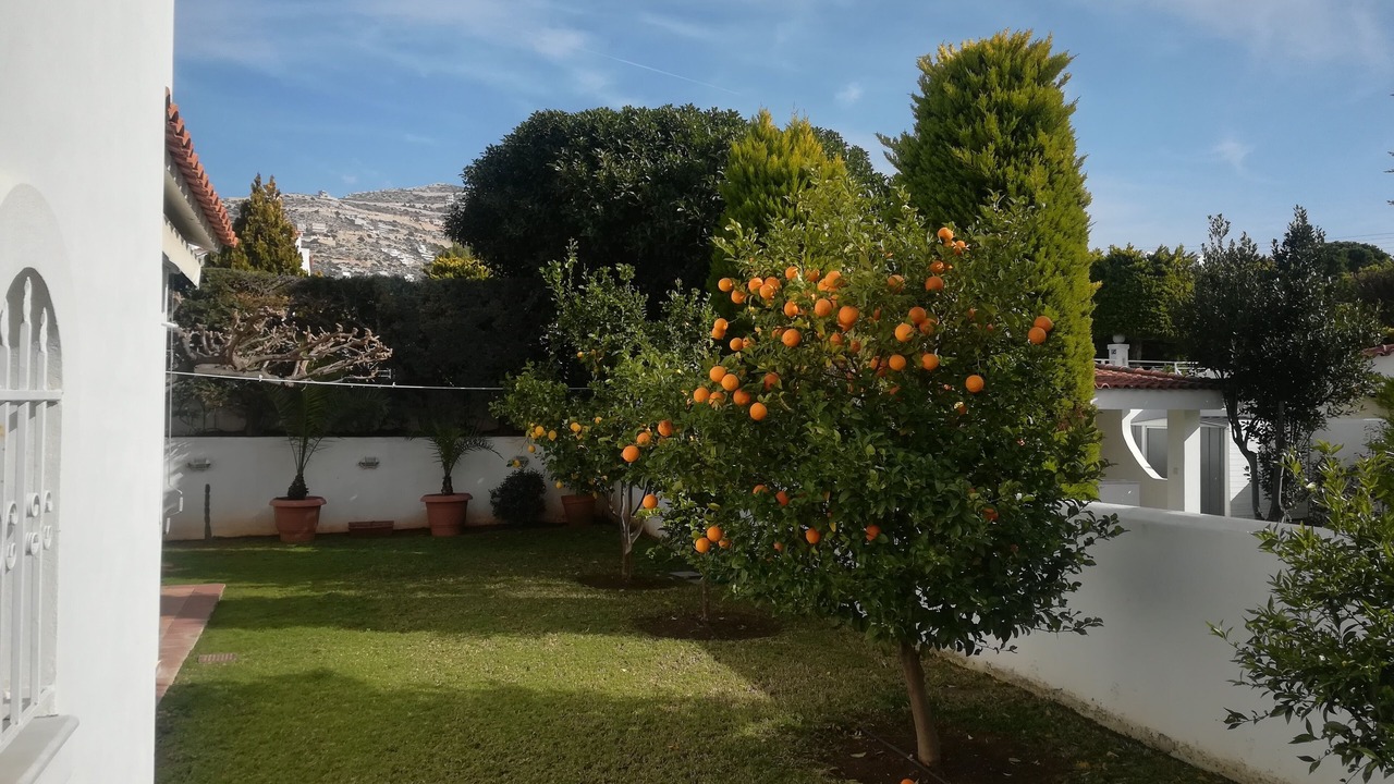 Photo of Outdoor in Saronida
