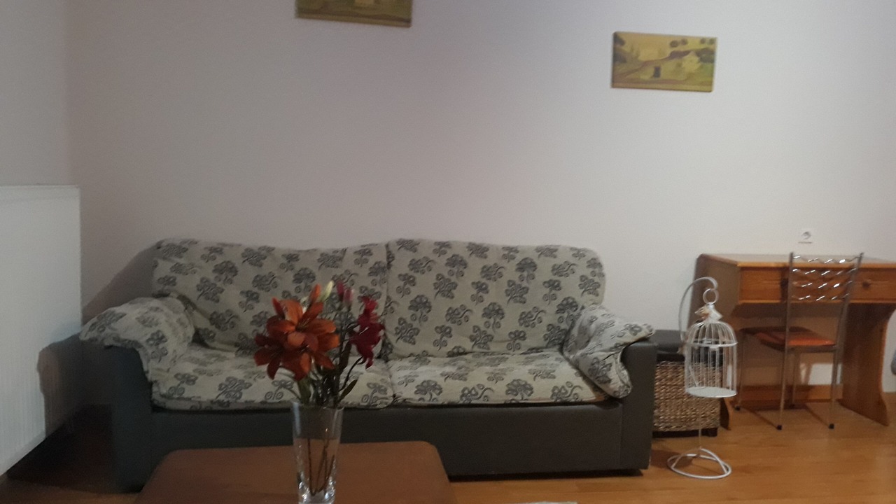 Photo of Livingroom in Petra