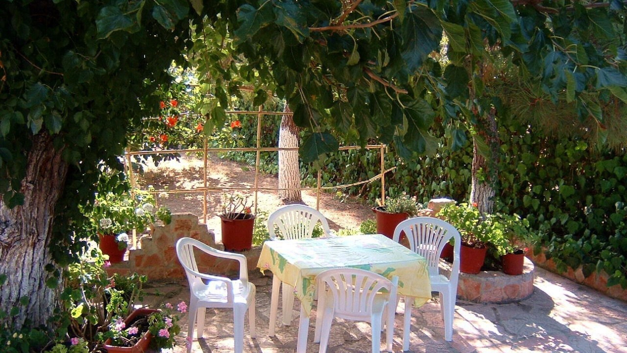 Photo of Outdoor in Melikia