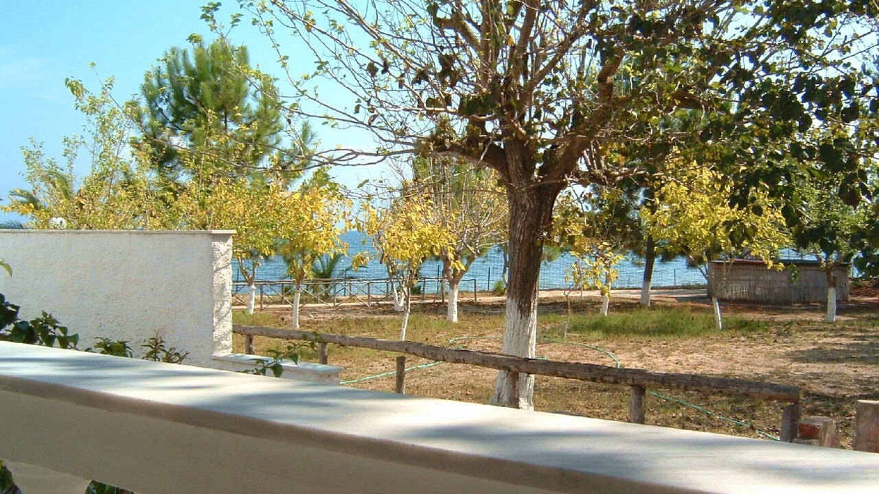 Photo of Outdoor in Melikia