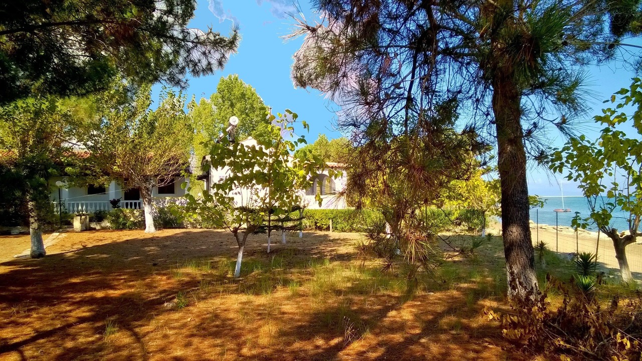 Photo of Outdoor in Melikia