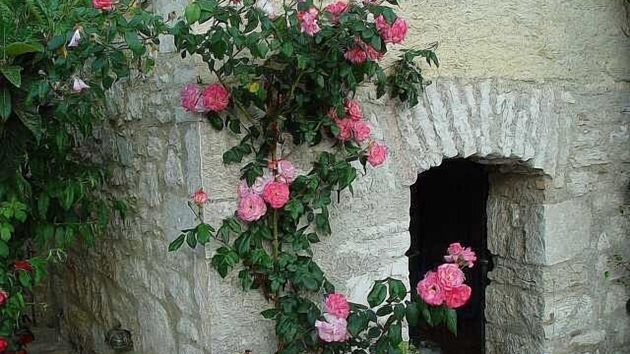 Photo of Outdoor in Agios Stefanos