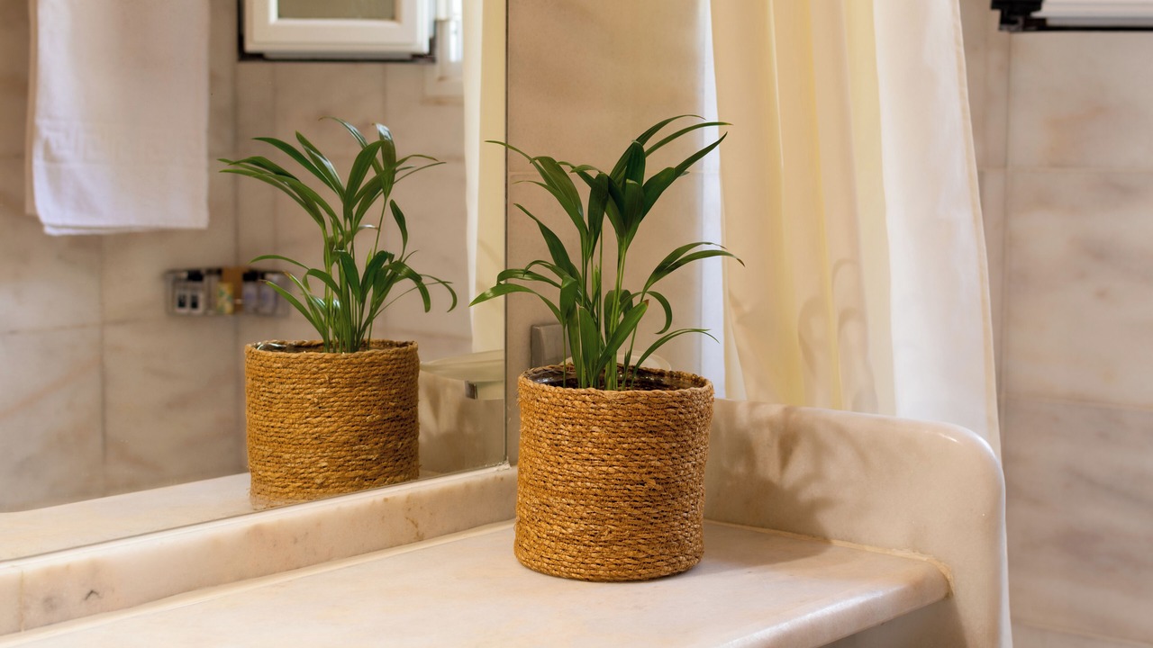 Photo of Bathroom in Dassia